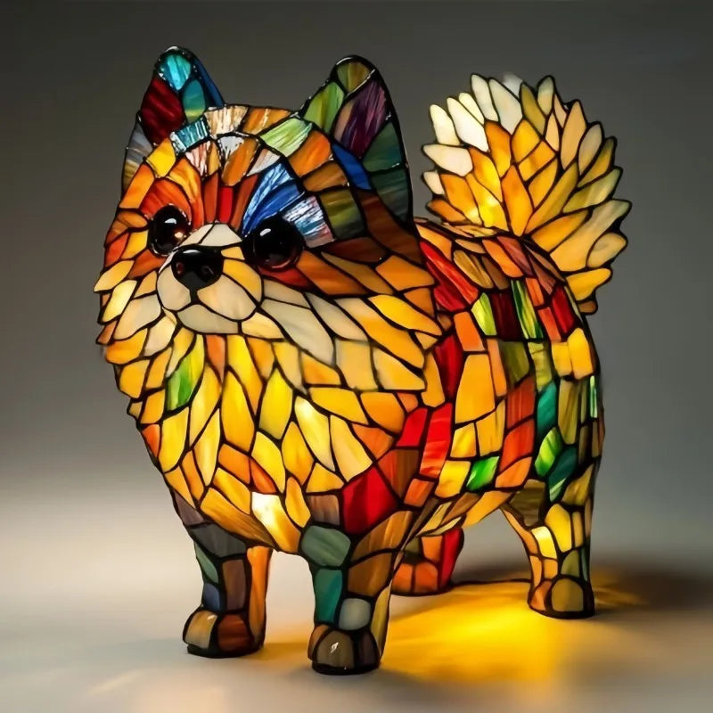 Simba | Little Rays of Sunshine for Pomeranian